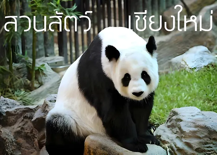 Go Inn Maya - Nimman Chiang Mai